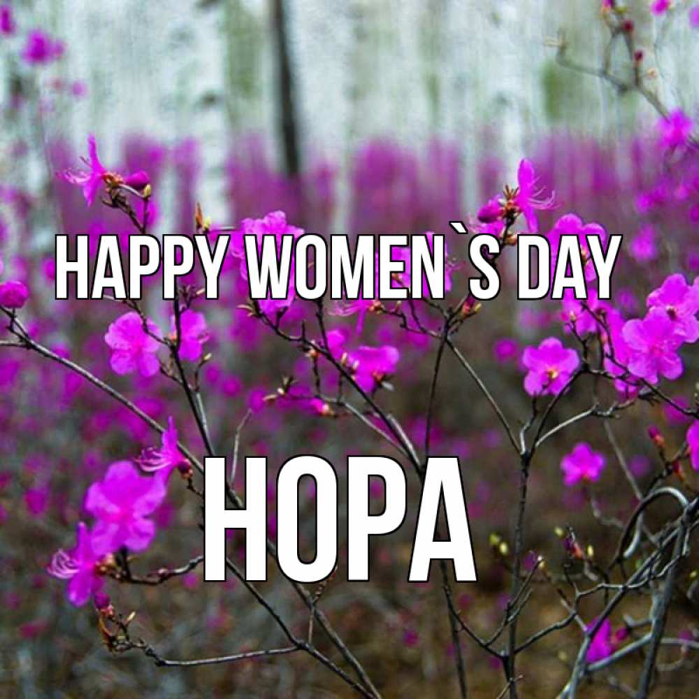 Greetings card с именем, Нора happy women`s day дикие цветы Greetings with text for free download 